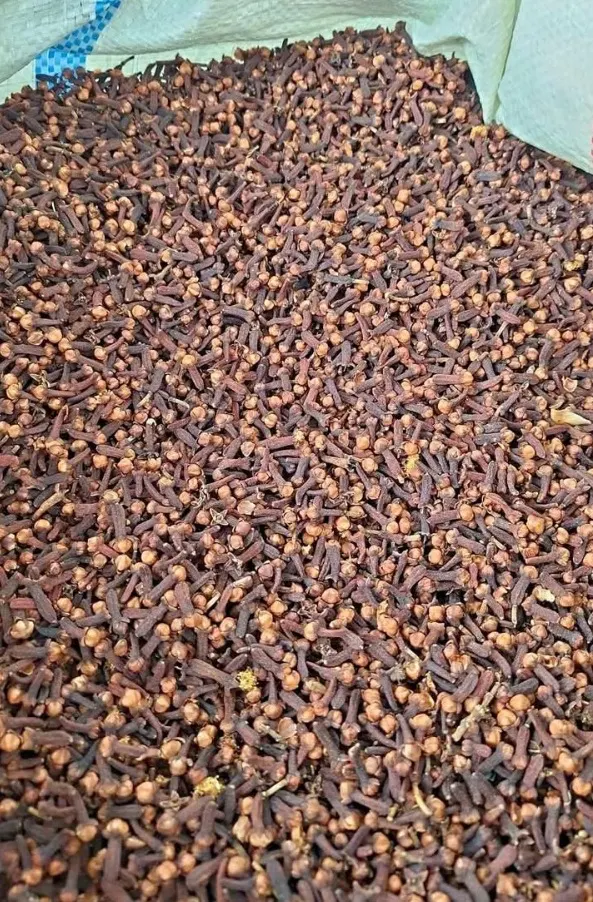 Clove, Indonesia