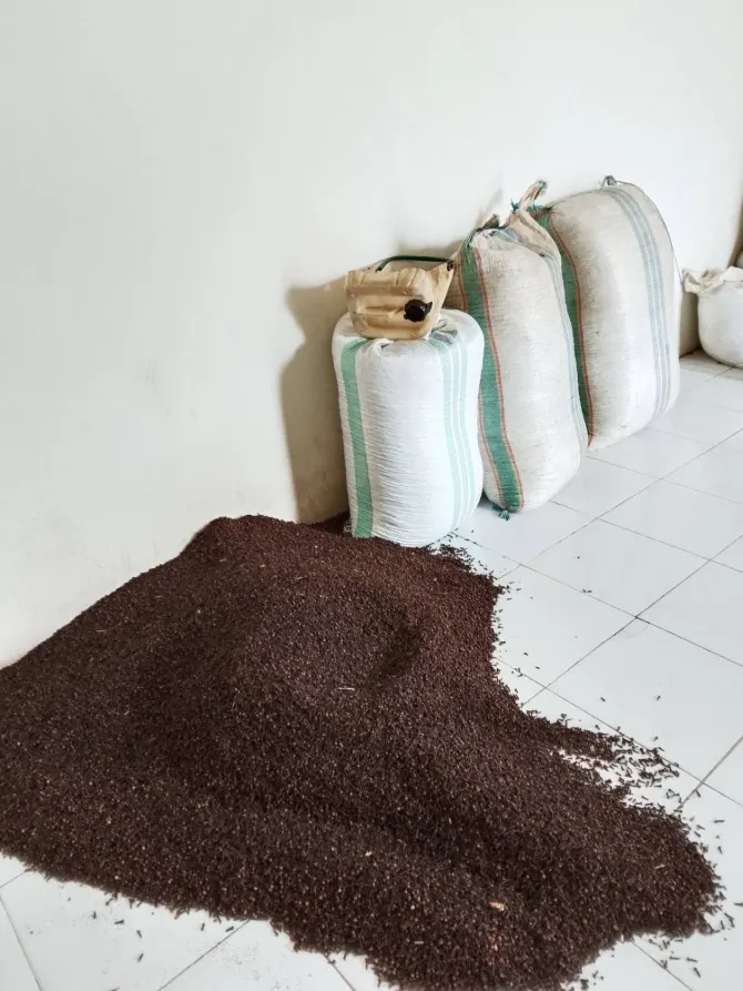 Clove, Indonesia