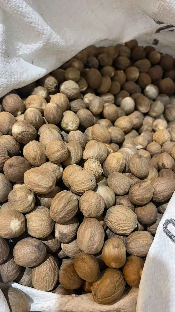 Nutmeg, Indonesia