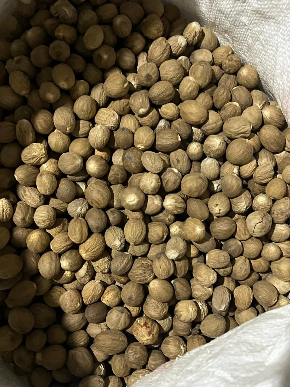Nutmeg