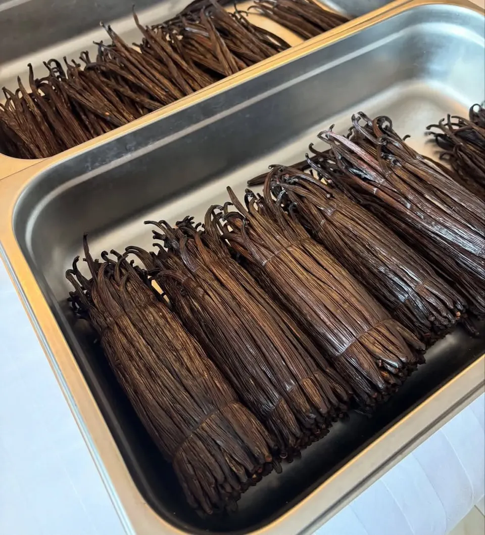 Vanilla tray, Indonesia